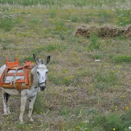 Prázdninový dům Viviana's Anoi House Langada Amorgos Ormos Aigialis